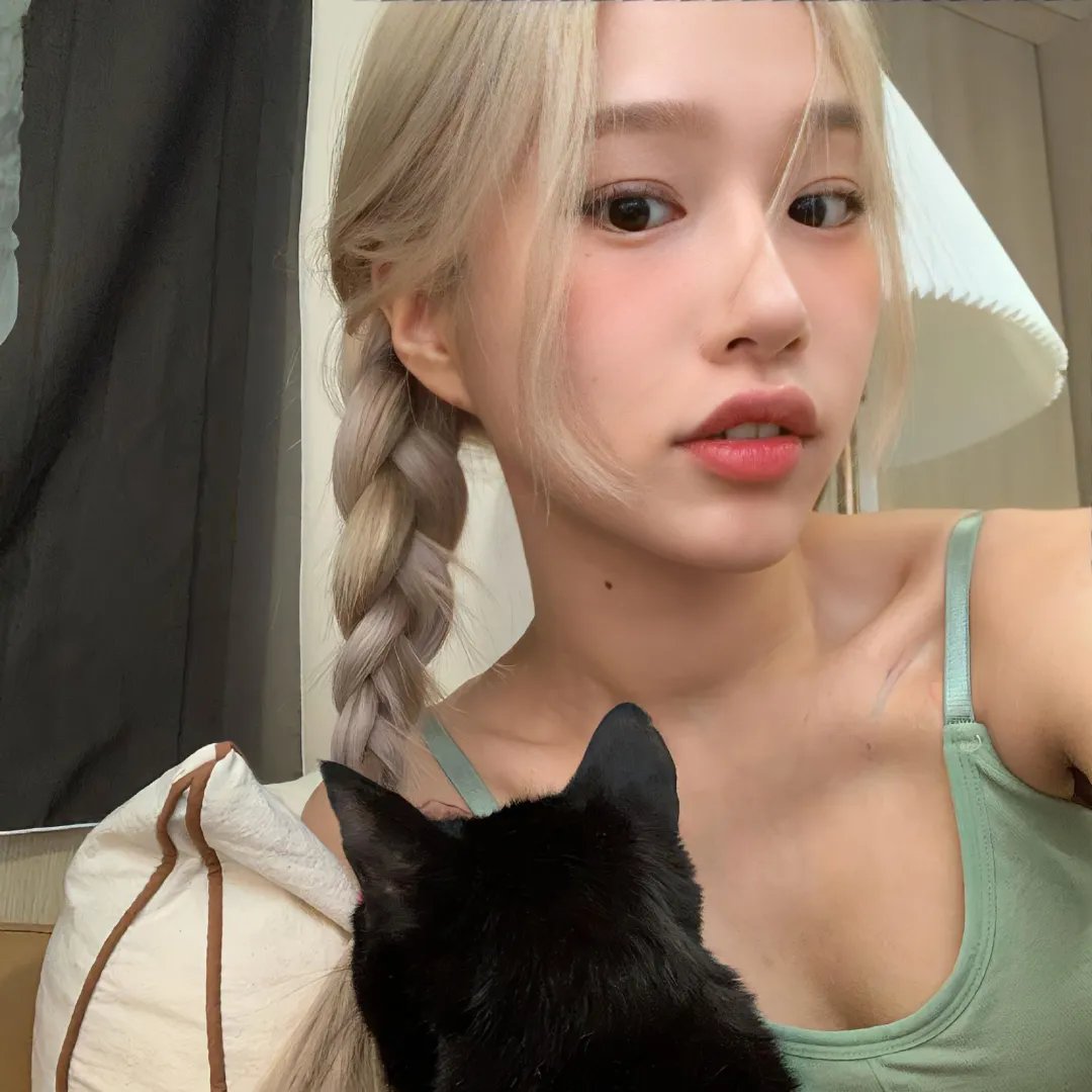 献给检察官的玫瑰花